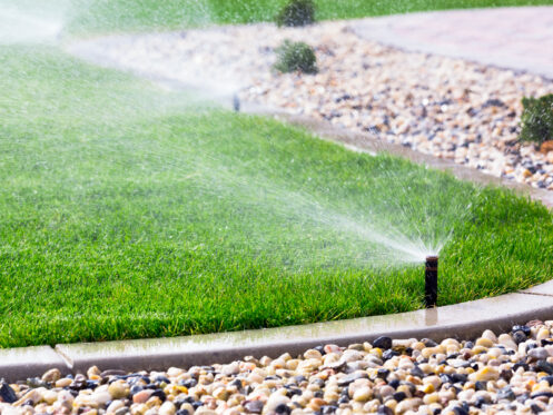 A sprinkler system sprays water over a well-manicured lawn bordered by a rock garden and a stone pathway. The scene captures a bright and well-maintained outdoor landscape.