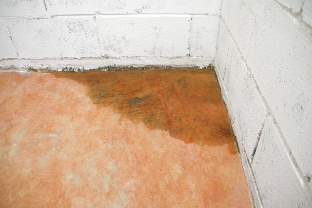 Water stains and dampness spread along the floor and wall junction, with rust-colored discoloration indicating possible water intrusion or a leak.